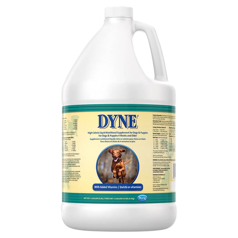Dyne High Calorie Liquid for Dogs, 1 gal Lambert Vet Supply Dog