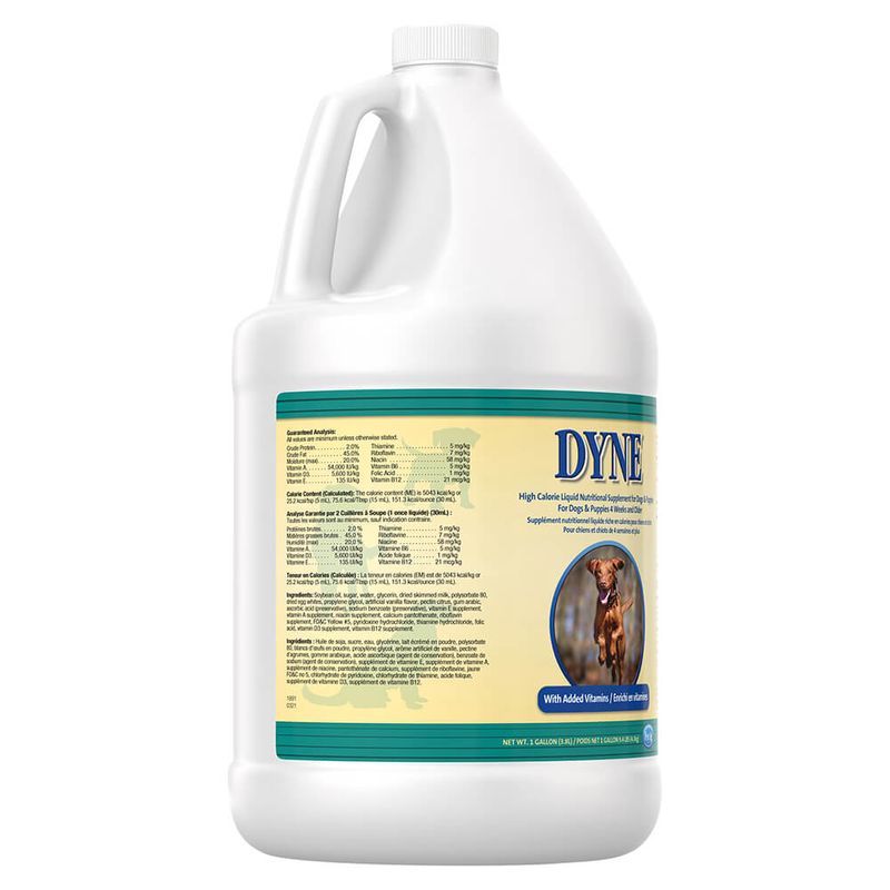 Dyne High Calorie Liquid for Dogs, 1 gal Lambert Vet Supply Dog