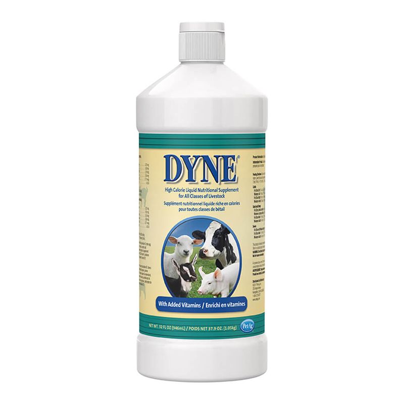 Dyne High Calorie Liquid for Livestock, 32 oz Lambert Vet Supply