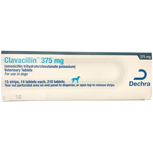 Rx Clavacillin (Amoxicillin Trihydrate/Clavulanate Potassium) Tablets 375mg 210ct