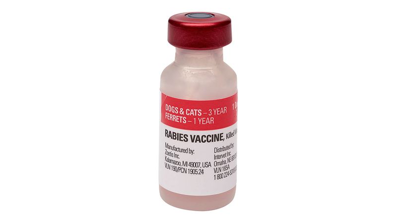 3 yr shops rabies vaccine for dogs