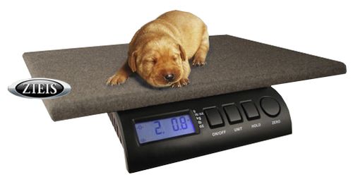 Vet Pet Scale with 12"x16" Platform 15 lb. Capacity