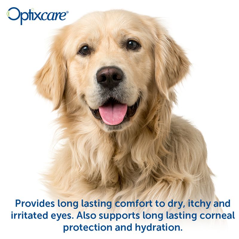 Optixcare Eye Lubricant Plus for Animals, 20gm Lambert Vet Supply