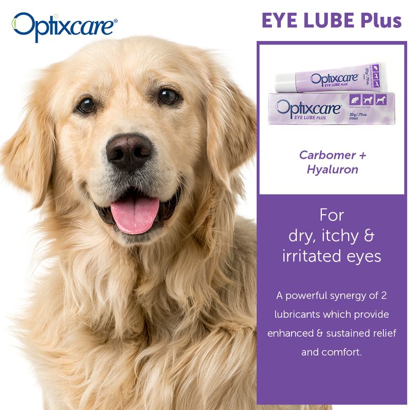Optixcare Eye Lubricant Plus for Animals, 20gm Pet Supplies 4 Less