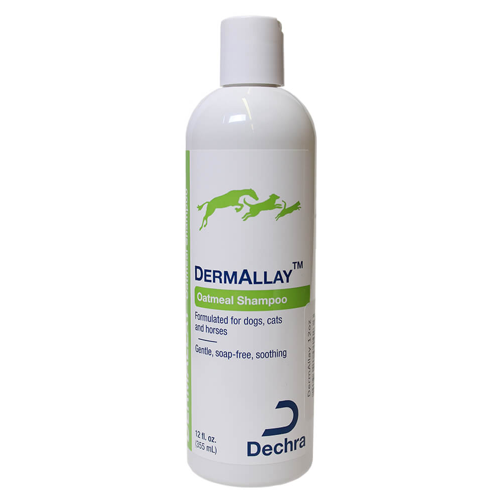 DermAllay Oatmeal Shampoo for Dogs, Cats, and Horses, 12 fl oz - Pet ...