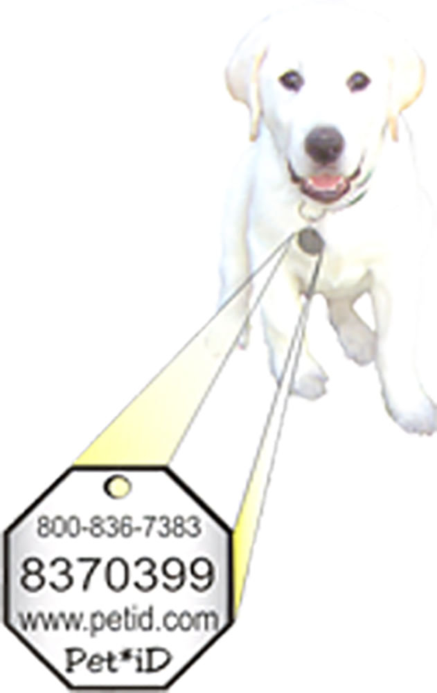 Pet iD Tag Service Plan Pack, Secured Identification Lambert Vet Supply Dog, Cat, Horse