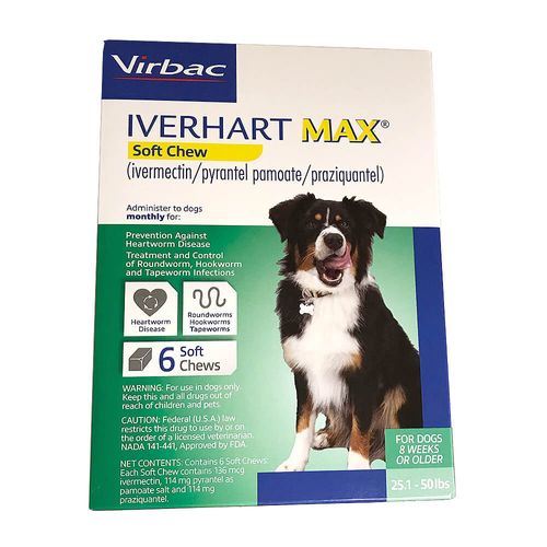 Iverhart Max Soft Chew Rx 25.1-50 lb 6 pack