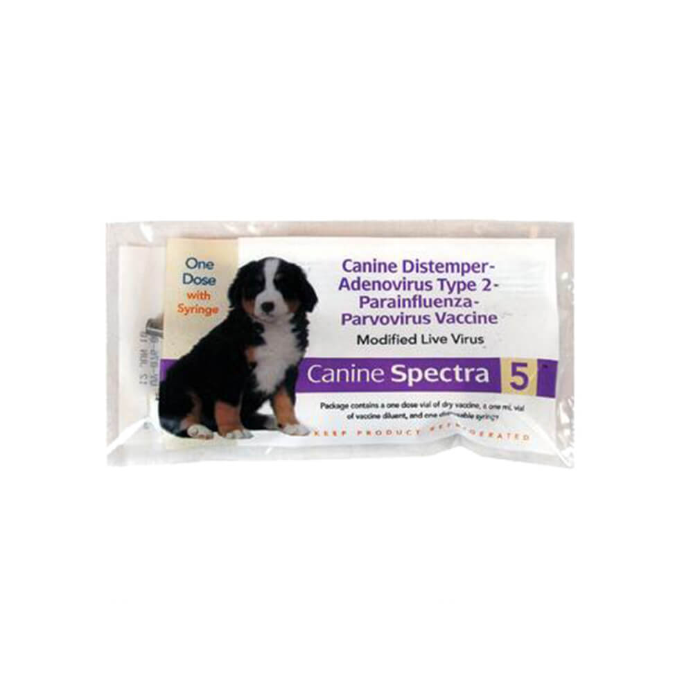 Canine Spectra 5, Single Dose w/ Syringe - Lambert Vet Supply | Dog ...