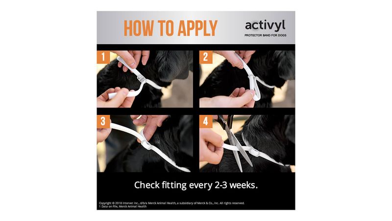 Activyl protector sale band for dogs