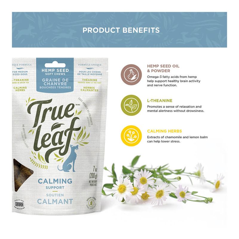 True Leaf Hemp Calming Chews 200g Pet Supplies 4 Less