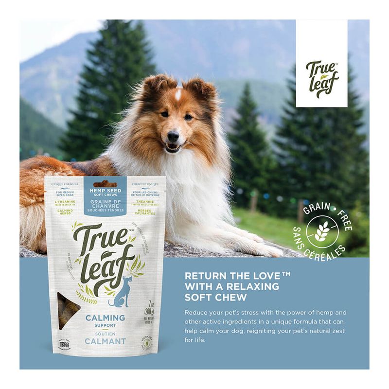 True Leaf Hemp Calming Chews 200g Pet Supplies 4 Less