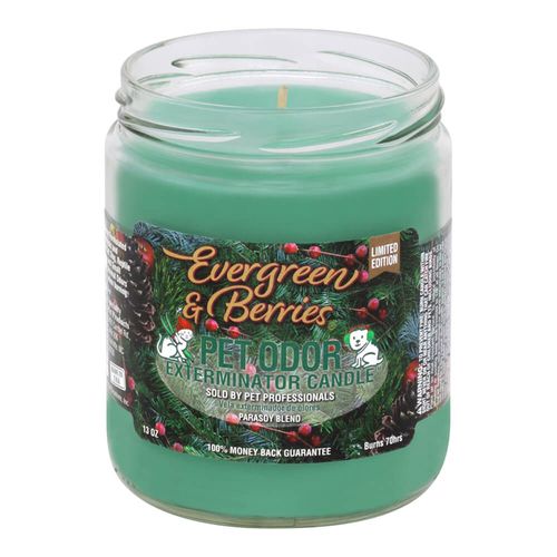 Pet Odor Exterminator Candle Evergreen & Berries 13oz