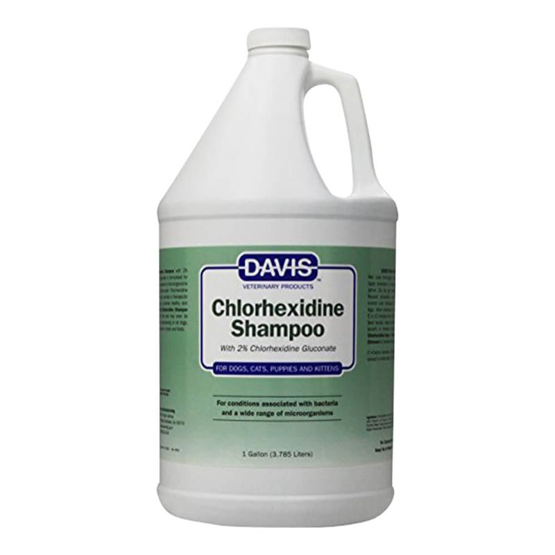 Chlorhexidine 2 Shampoo, Gallon Lambert Vet Supply Dog, Cat, Horse, Kennel, & Vet Supplies