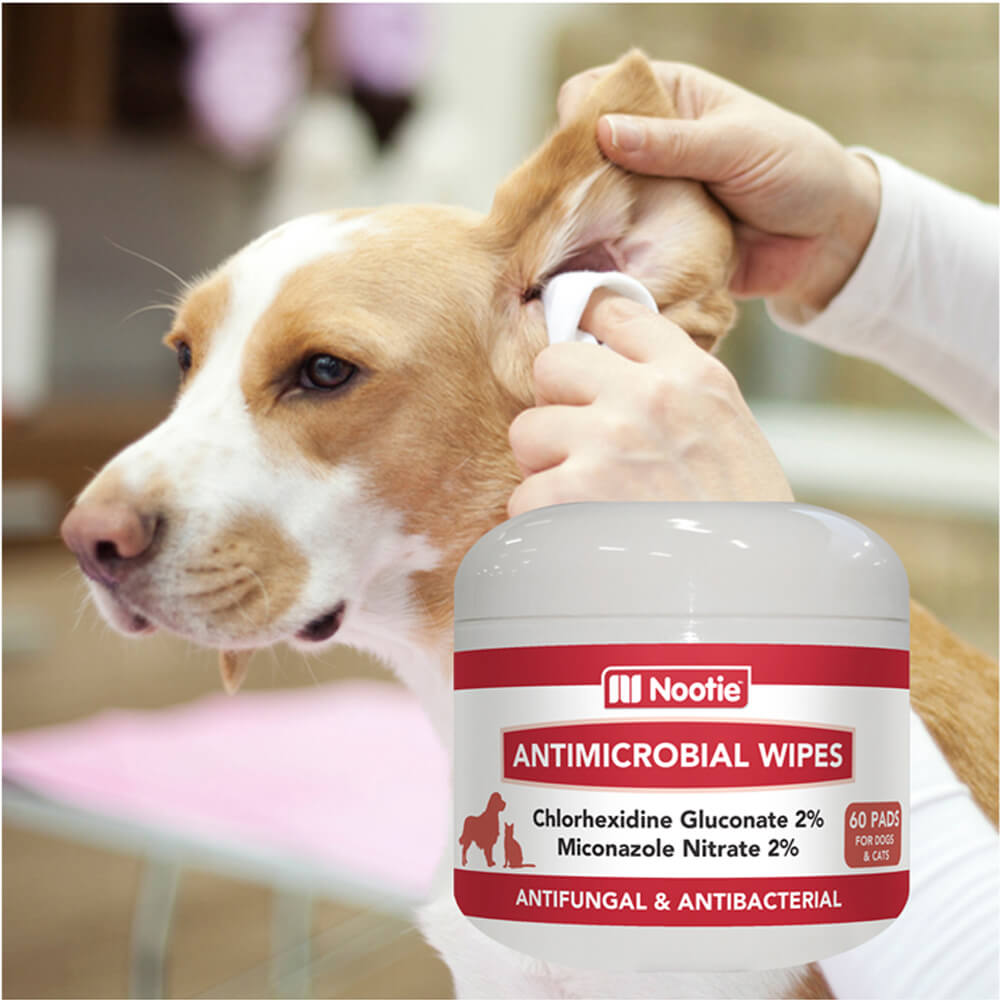 Antimicrobial Wipes Small, 60 ct Lambert Vet Supply Dog, Cat, Horse