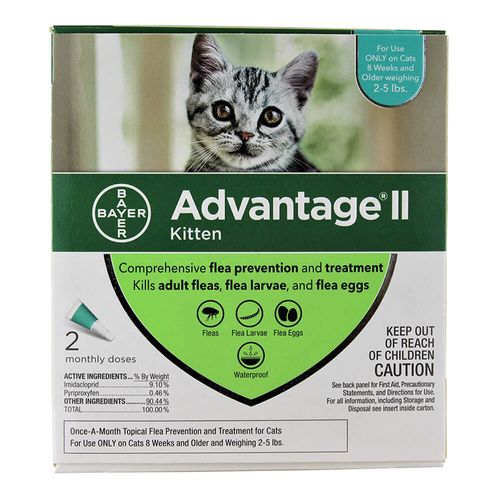 Advantage II Kittens Under 5 lbs 2 Pack Turquoise