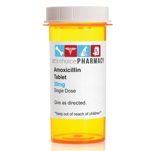 Rx Amoxicillin 50mg  x 1 Tablet