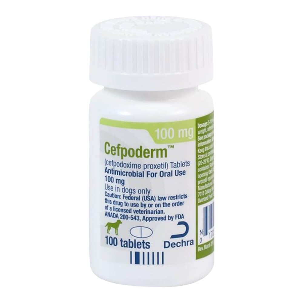 Rx Cefpodoxime Tablets for Dogs, 100mg - Pet Supplies 4 Less