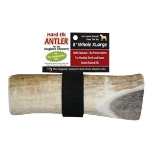 Wapiti Labs Elk Antler Chews 8" XL Whole