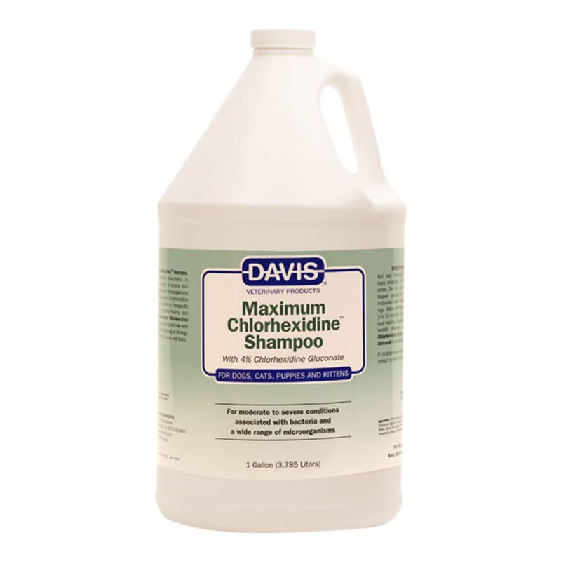 MAXimum 4 Chlorhexidine Shampoo, Gallon Lambert Vet Supply Dog