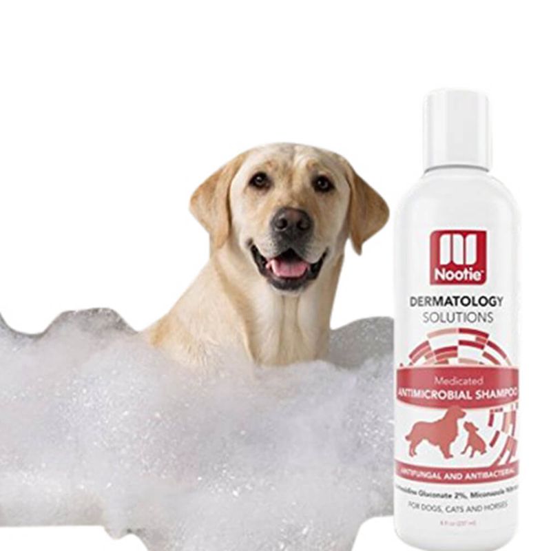 Antimicrobial Shampoo for Pets Lambert Vet Supply Dog, Cat, Horse