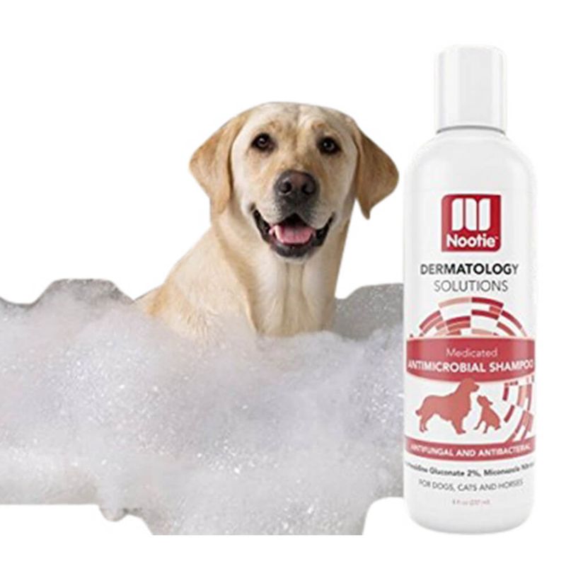 Antimicrobial Shampoo 8oz Lambert Vet Supply Dog, Cat, Horse