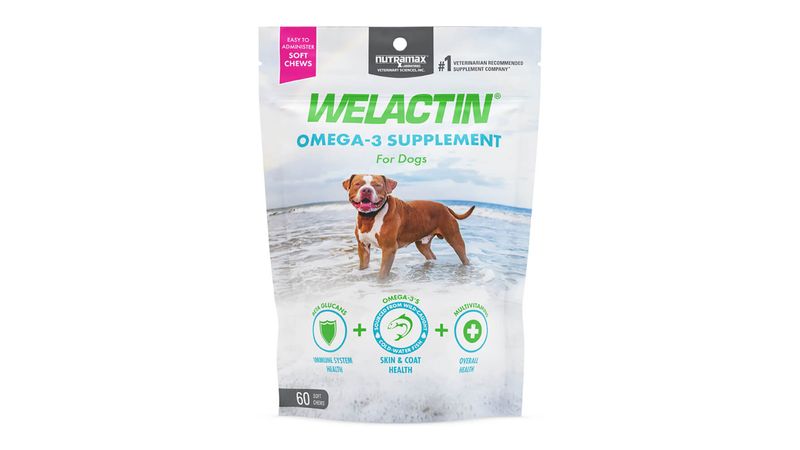 Nutramax omega clearance 3 for dogs