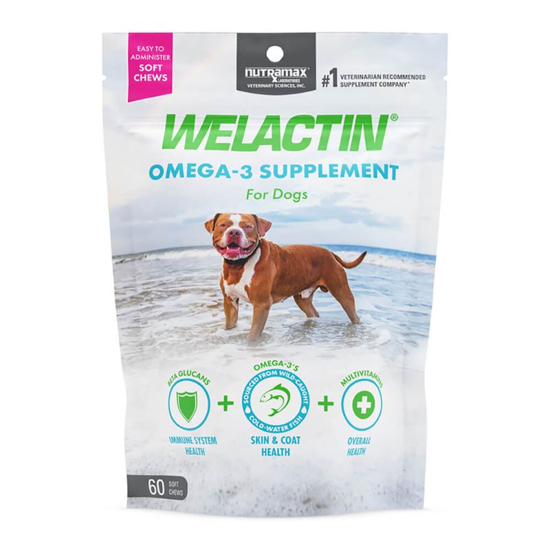 Welactin Daily Omega3 Supplement For Dogs, 60 Soft Chews Lambert Vet