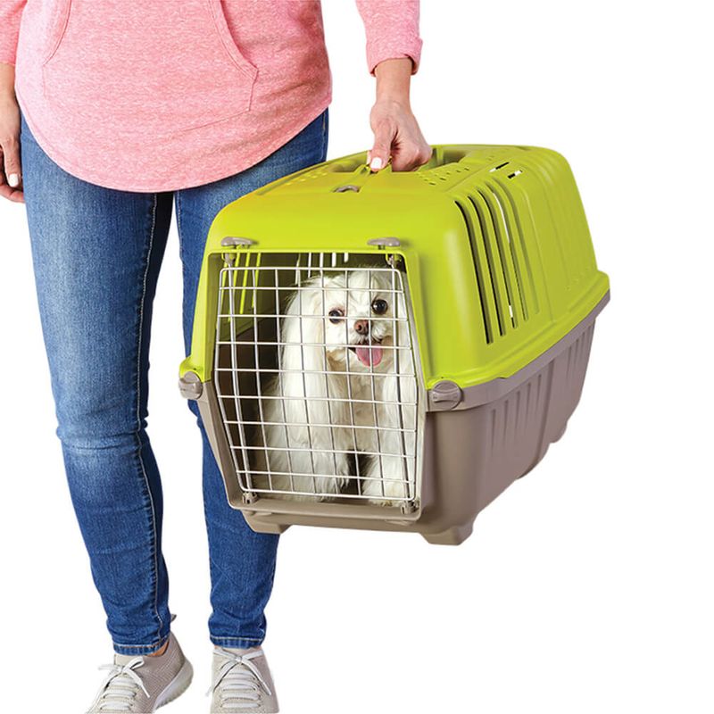 Spree Pet Carrier 24", Green Pet Supplies 4 Less