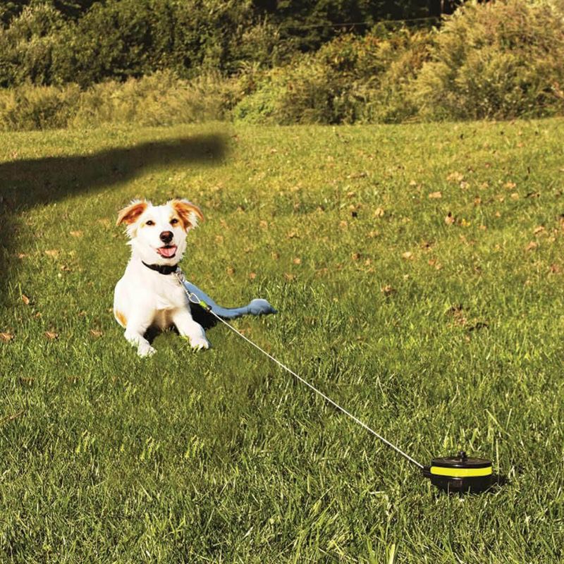 Lixit Retractable Cable Tie Out for Dogs with 360 Rotation Lambert