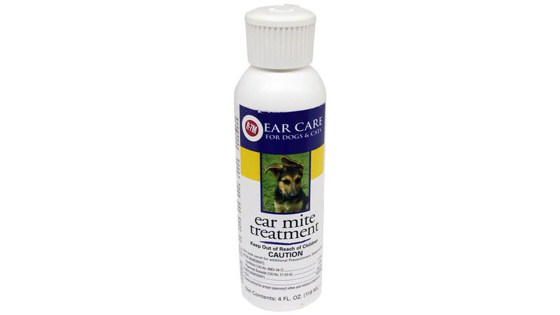 Homemade ear mite solution for cats hotsell