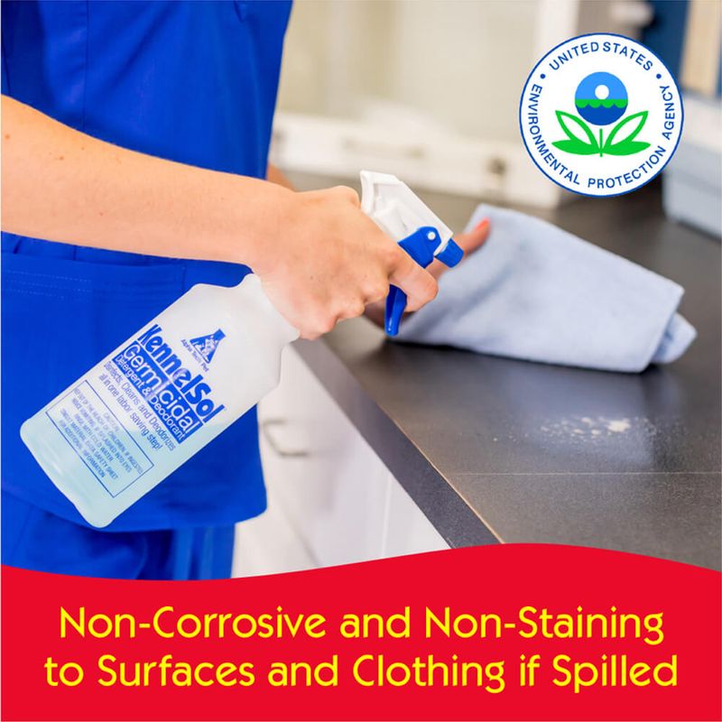 KennelSol Germicidal Detergent & Deodorant Lambert Vet Supply Dog