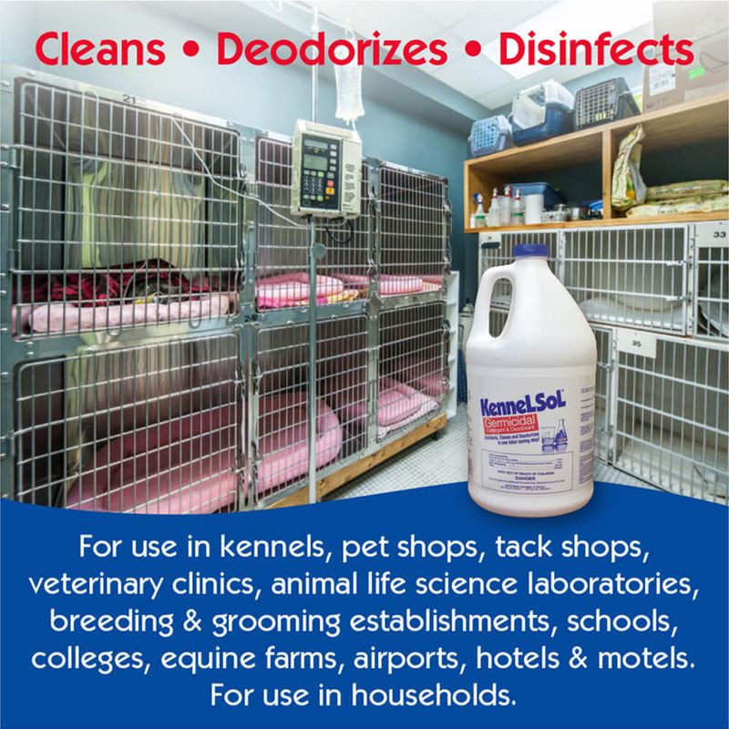 KennelSol Germicidal Detergent & Deodorant, Gallon Lambert Vet Supply