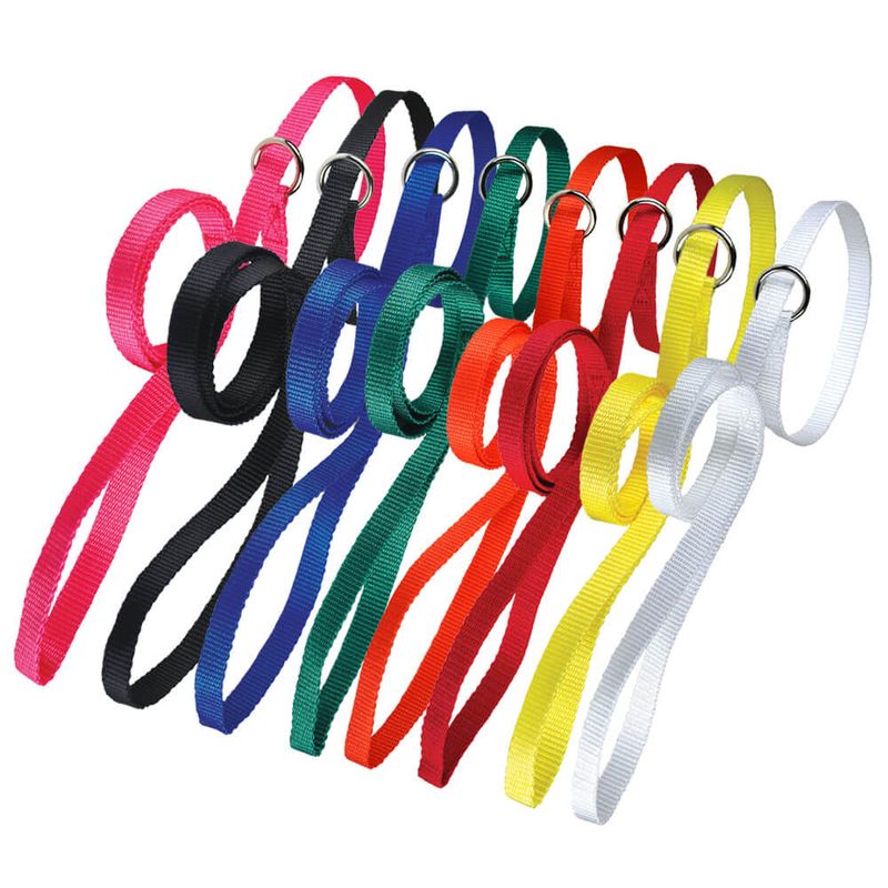 Nylon Kennel Poly Leads, Assorted, 20 Pack, 4'x1/2" Lambert Vet