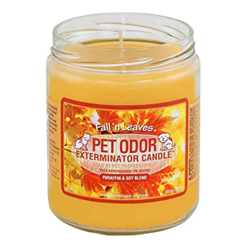 Pet Odor Exterminator Candle Fall Leaves