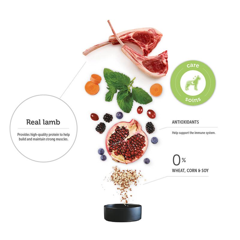 Vetdiet Care Skin & Stomach Health Lamb and Rice Dry Adult All Breeds