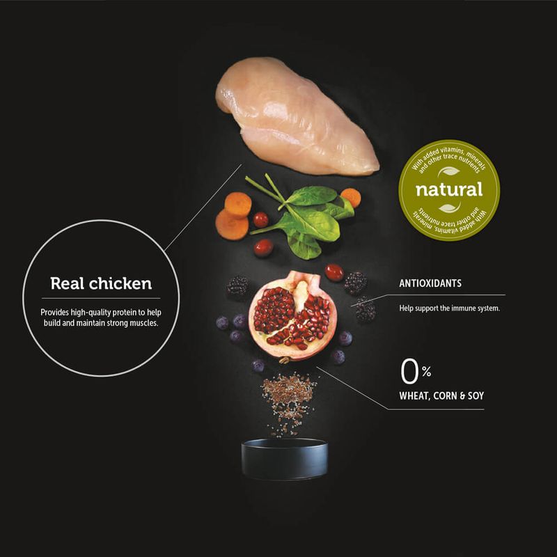 Vetdiet Chicken and Rice Dry Adult Cat Food, 3.5 lb Lambert Vet