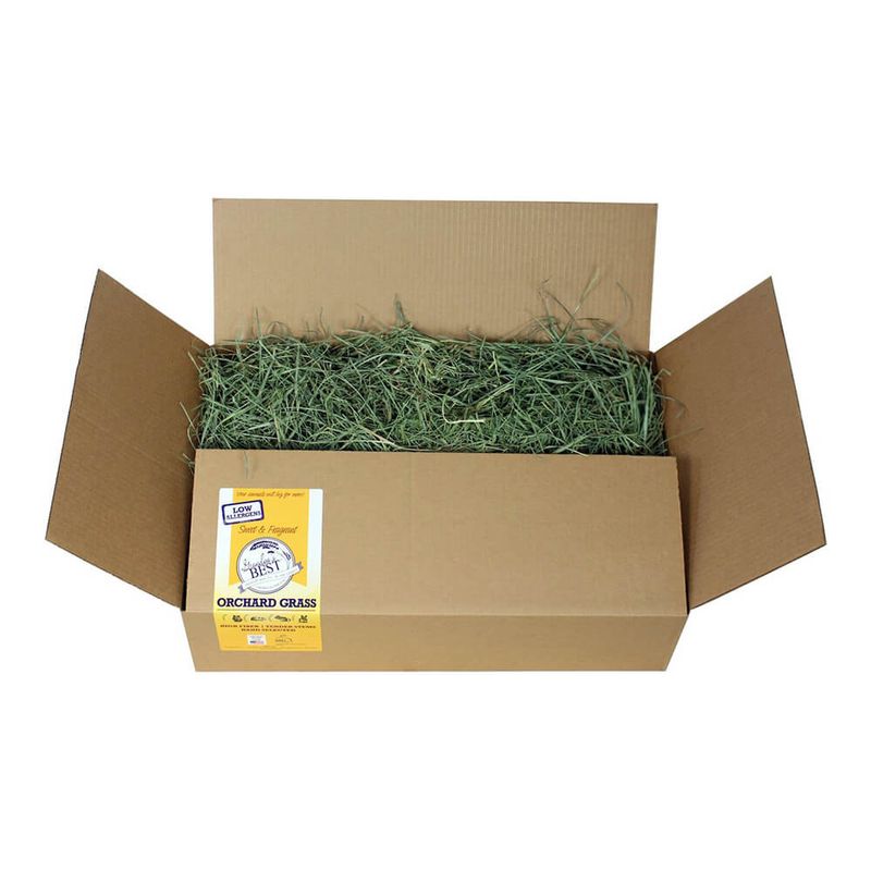 Orchard Grass Hay for Rabbits, Hamsters and Small Pets, 5lb Loose Boxed