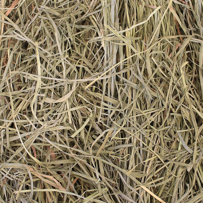 Orchard Grass Hay for Rabbits, Hamsters and Small Pets, 20lb Loose