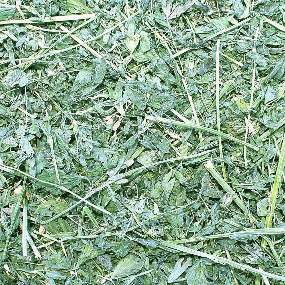 Alfalfa Hay for Rabbits, Loose Boxed Pet Supplies 4 Less