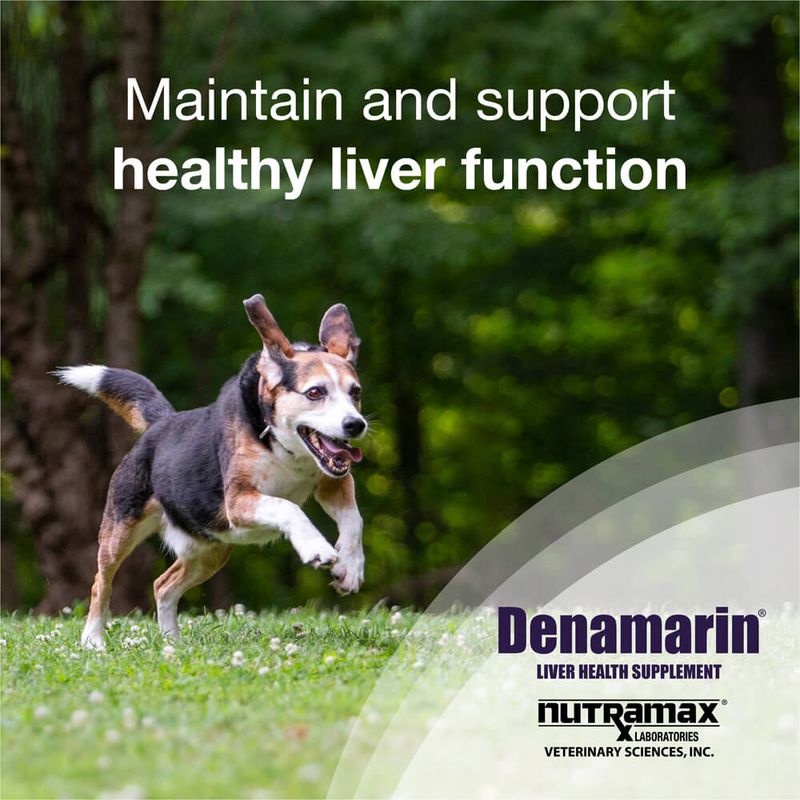 Denamarin for Dogs, 30 Tablets, Bottle Lambert Vet Supply Dog, Cat