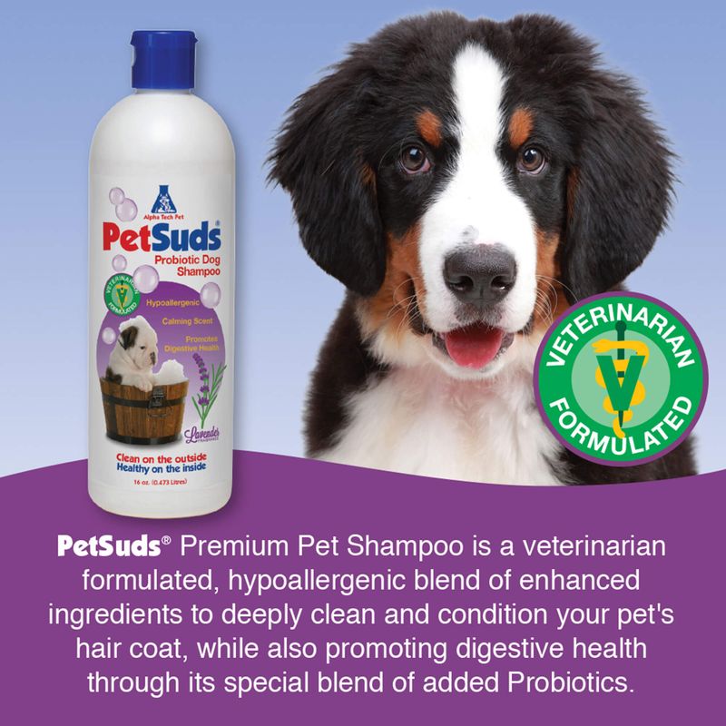 PetSuds Probiotic Pet Shampoo, 16oz Lambert Vet Supply Dog, Cat