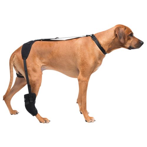 Therapy Wrap w/Therapy Gel Tarsal Large