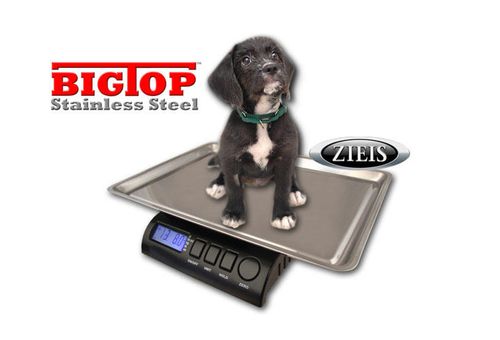 Vet Pet Scale with Big Top Stainless Steel Top 15 lb Capacity