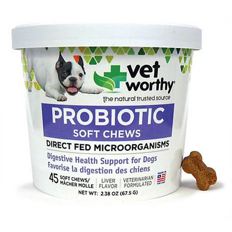 Vet Worthy, Probiotic Soft Chews, 1 Billion CFU, for Dogs, 45 ct