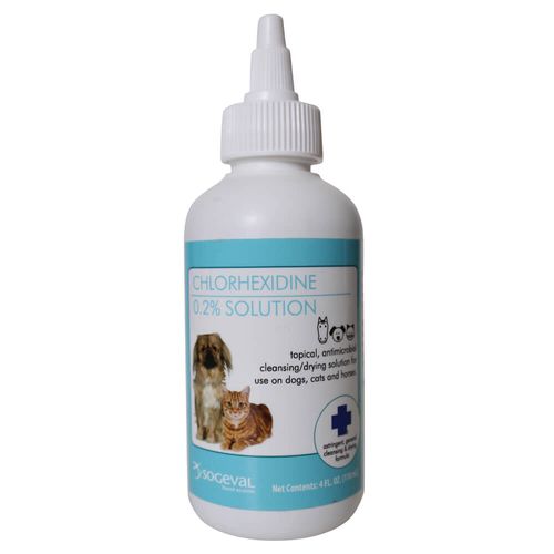 Chlorhexidine 0.2% Solution for Dogs Cats & Horses