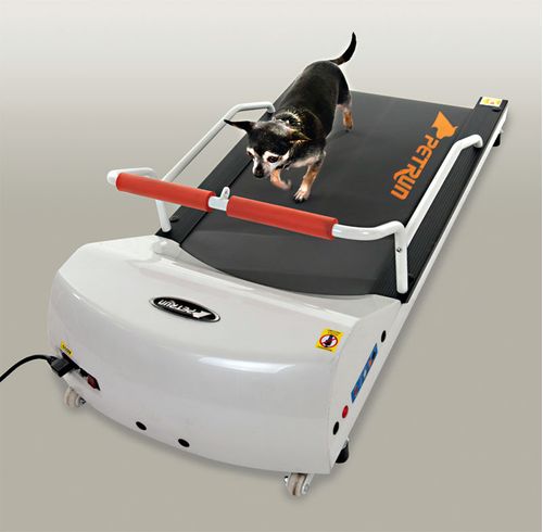 GoPet Treadmill for Dogs