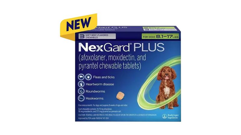 Rx Nexgard Plus Lambert Vet Supply Dog Cat Horse Kennel Vet Supplies