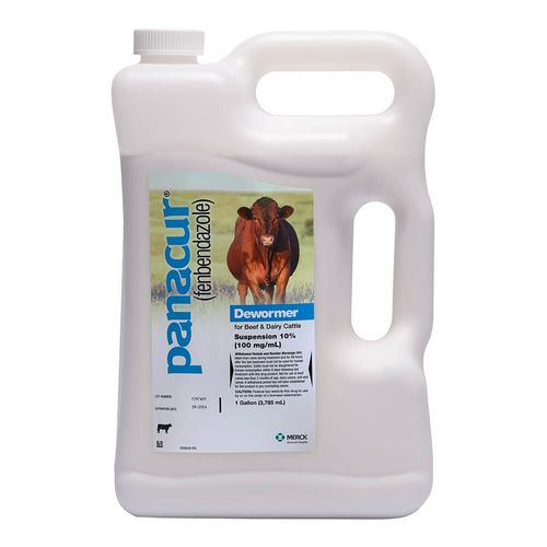 Panacur Beef & Dairy Cattle Dewormer Suspension Rx 10%, Gallon