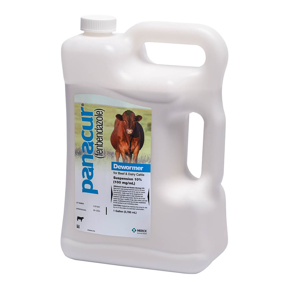 Panacur Beef & Dairy Cattle Dewormer Suspension Rx 10%, Gallon - Pet ...