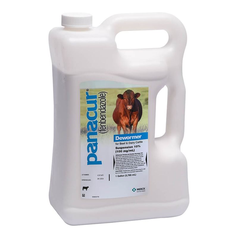 Panacur Beef & Dairy Cattle Dewormer Suspension Rx 10, Gallon